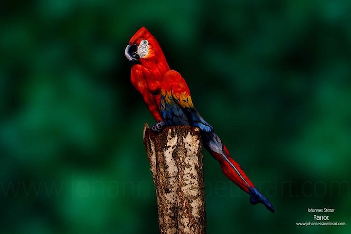 bodyart-parrot
