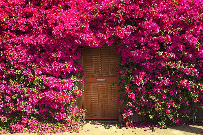 15 amazing doors Unknown Garden Door