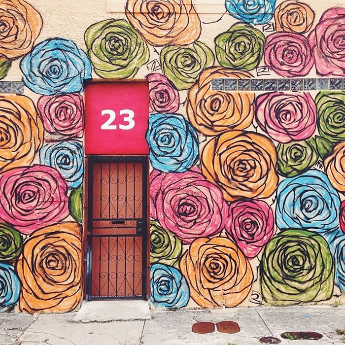 21 amazing doors Miami, Florida, USA