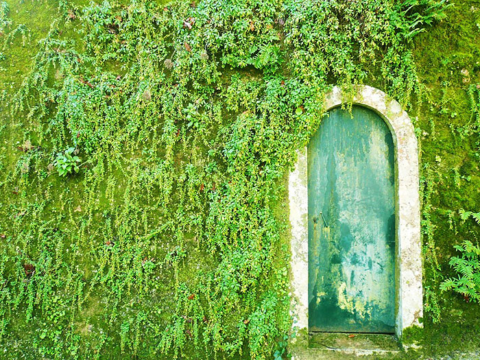 22 amazing doors Sintra, Lisbon, Portugal