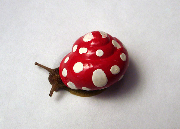 razrisovanie ulitki 5