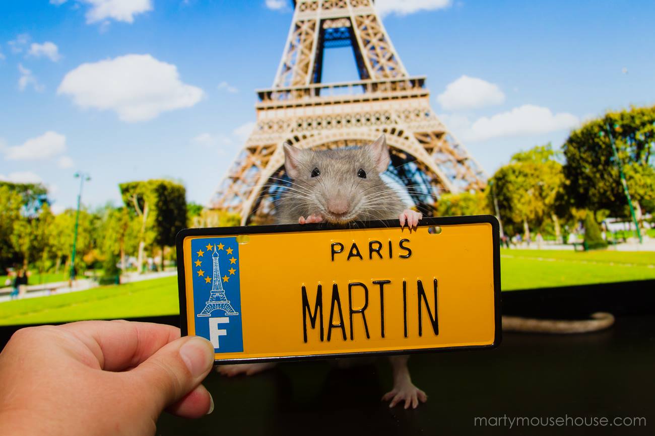 marty-16