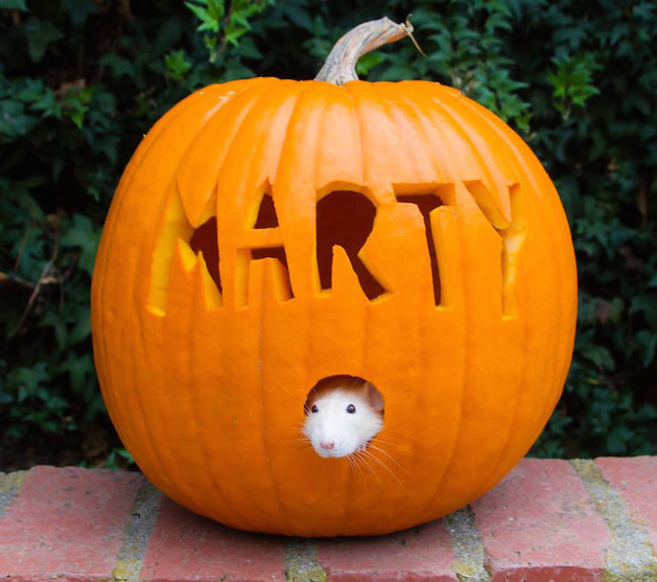 marty-8
